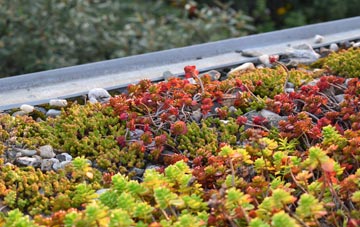 the cost of Polstead green roof installation