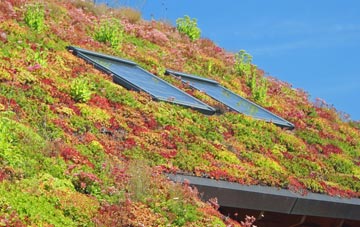 Polstead living roof systems